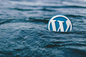 WordPress - Des plugins exploités pour piraté les sites